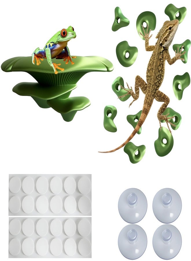 Okueejur Mushroom Terrarium Decor & Climbing Hold Kit,with 12 Rock Holds, Suction Cups & Adhesive Dots for Geckos, Frogs, Small Lizards & Snakes in Dry/Semi-Moist Habitats (Lime Green) - Image 1