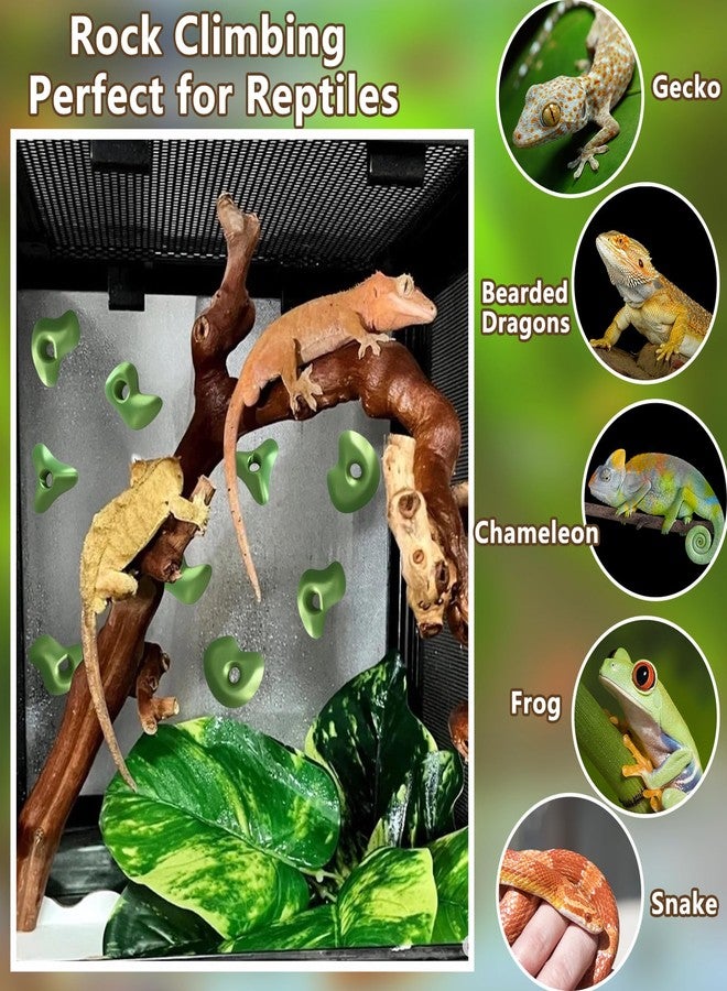 Okueejur Mushroom Terrarium Decor & Climbing Hold Kit,with 12 Rock Holds, Suction Cups & Adhesive Dots for Geckos, Frogs, Small Lizards & Snakes in Dry/Semi-Moist Habitats (Lime Green) - Image 2