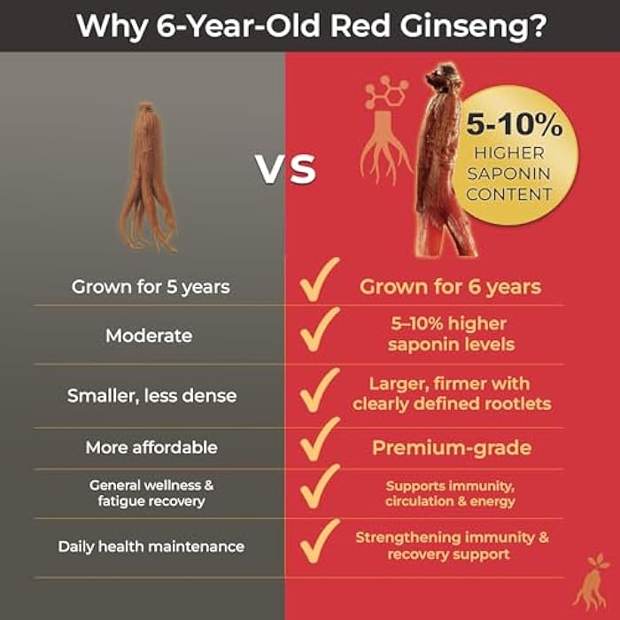 SamSiDae Korean Red Ginseng Tonic – 6-Year Grown Roots with Jujube & Cornus Fruit Extract – Caffeine-Free Herbal Supplement – Supports Energy and Immune Health – 20 Convenient Daily Pouches - Image 4
