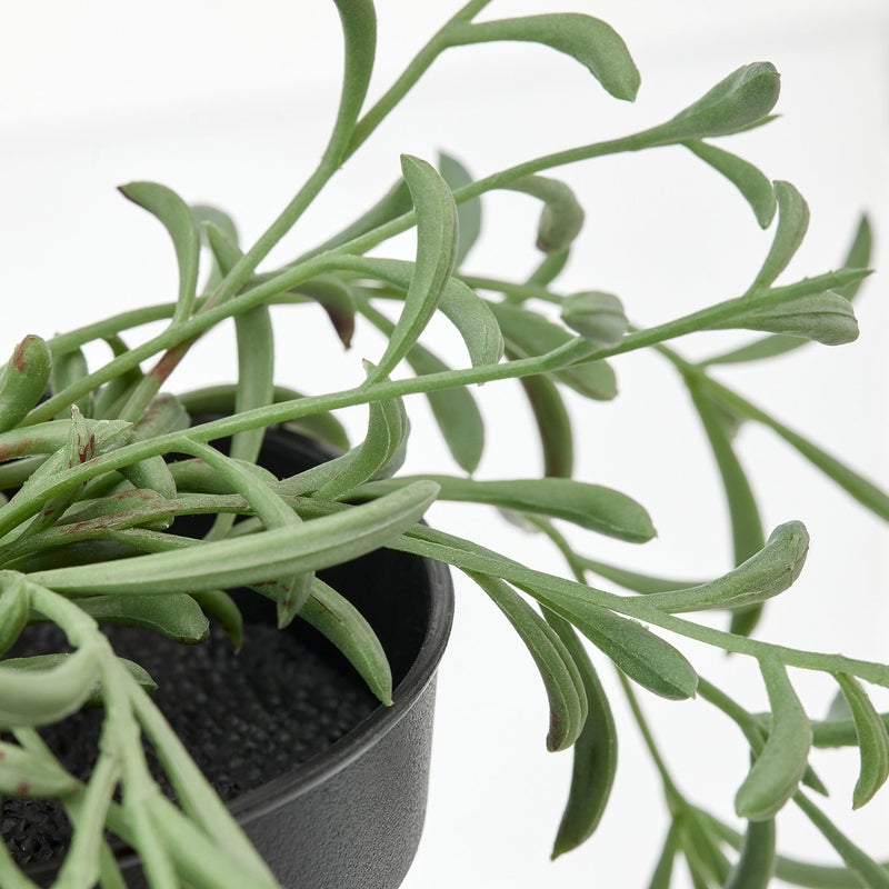 FEJKA Artificial Potted Trailing Plant, Indoor/Outdoor, Green, 9 cm Pot - Image 3