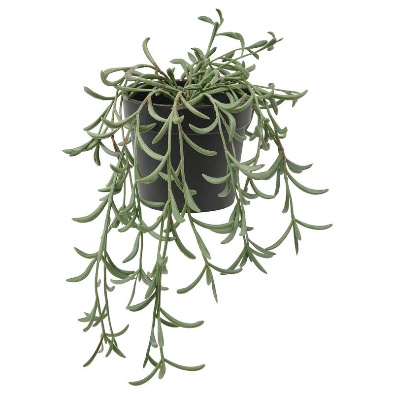 FEJKA Artificial Potted Trailing Plant, Indoor/Outdoor, Green, 9 cm Pot - Image 1