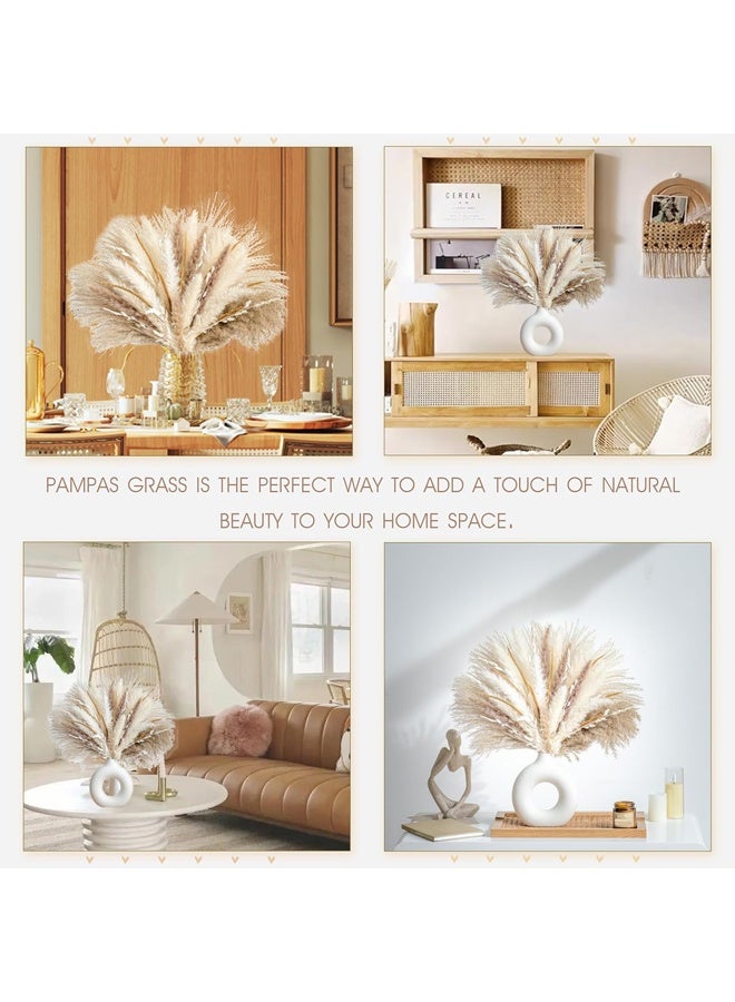 Forest Home 70PCS Natural Dried Pampas Grass Boho Home Decor Bouquet Phragmites Dried Flowers Bouquet for Wedding Floral Arrangements Home Decorations (70PCS) - Image 2