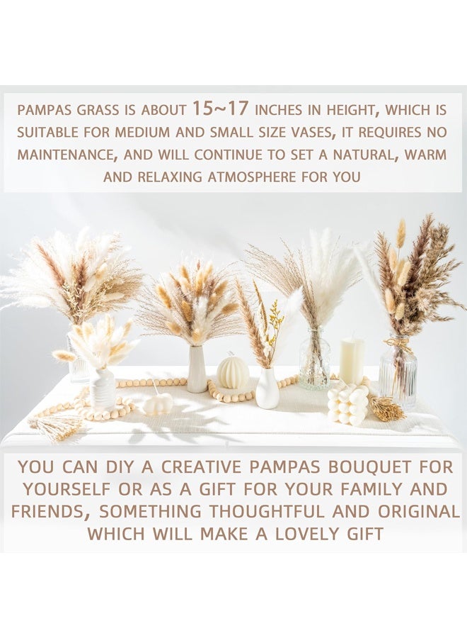 Forest Home 70PCS Natural Dried Pampas Grass Boho Home Decor Bouquet Phragmites Dried Flowers Bouquet for Wedding Floral Arrangements Home Decorations (70PCS) - Image 5