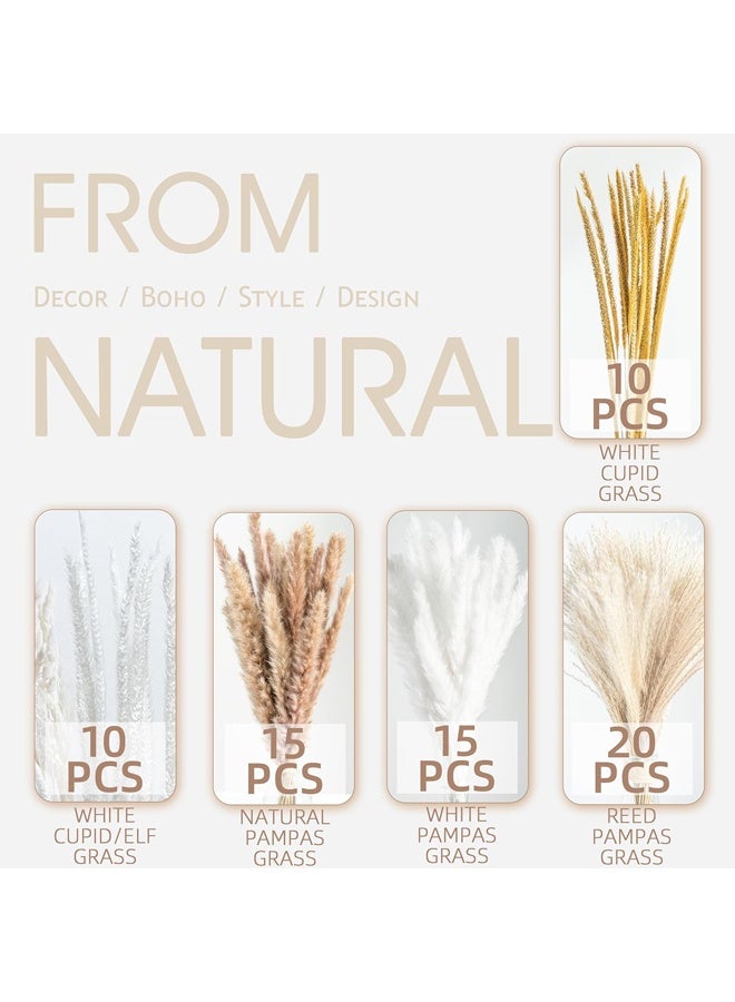 Forest Home 70PCS Natural Dried Pampas Grass Boho Home Decor Bouquet Phragmites Dried Flowers Bouquet for Wedding Floral Arrangements Home Decorations (70PCS) - Image 4