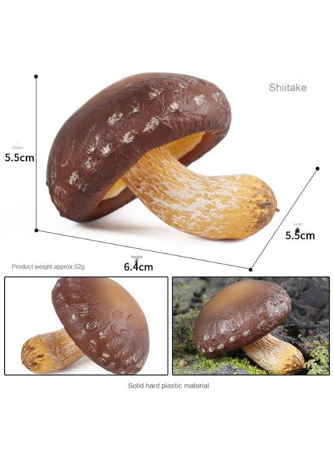 NIBEMINENT Fake Mushroom Model - Essential for Early Education Tools and Scene Photography