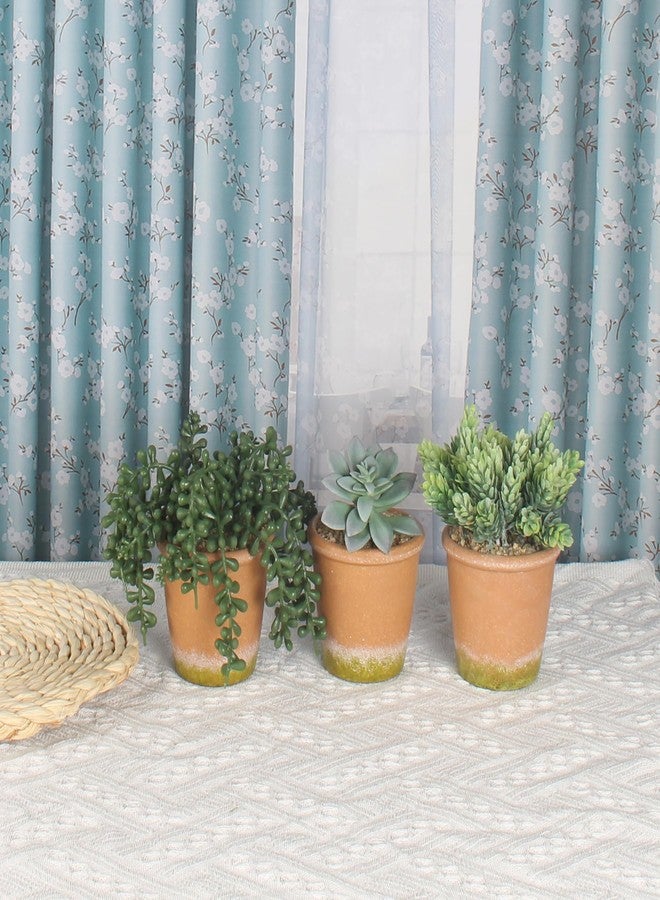 COTSEN 3 Pcs Artificial Succulent Plants Potted False Succulent Plants Potted Faux Potted Plant Family Office Bookshelf Decor - Image 2