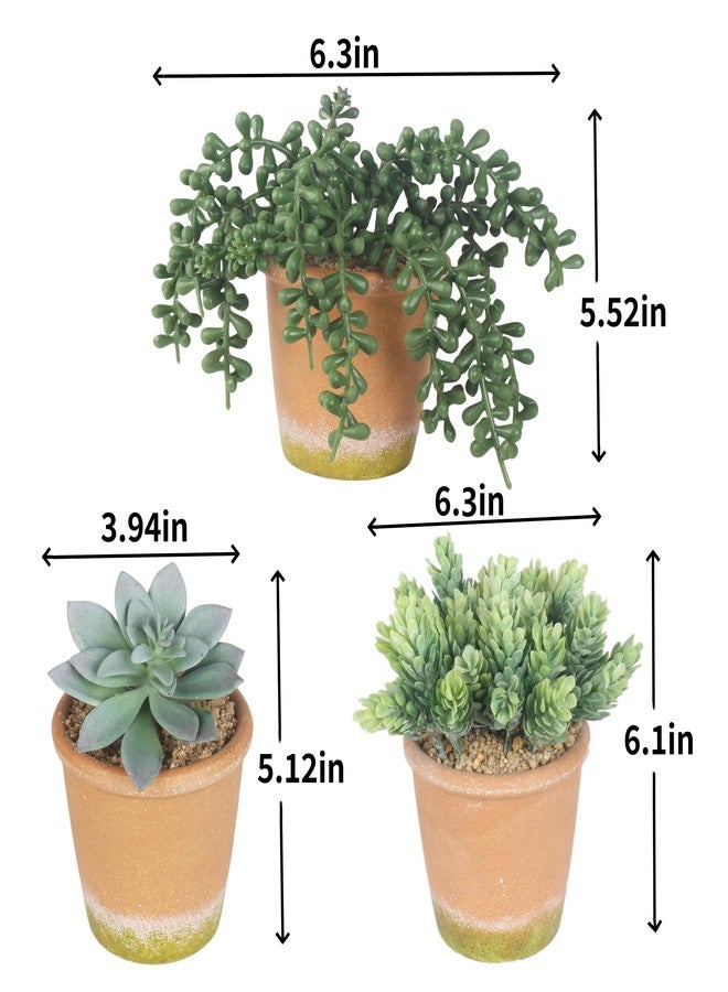 COTSEN 3 Pcs Artificial Succulent Plants Potted False Succulent Plants Potted Faux Potted Plant Family Office Bookshelf Decor - Image 4