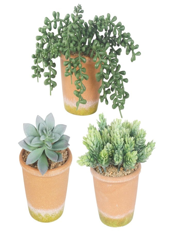 COTSEN 3 Pcs Artificial Succulent Plants Potted False Succulent Plants Potted Faux Potted Plant Family Office Bookshelf Decor - Image 1