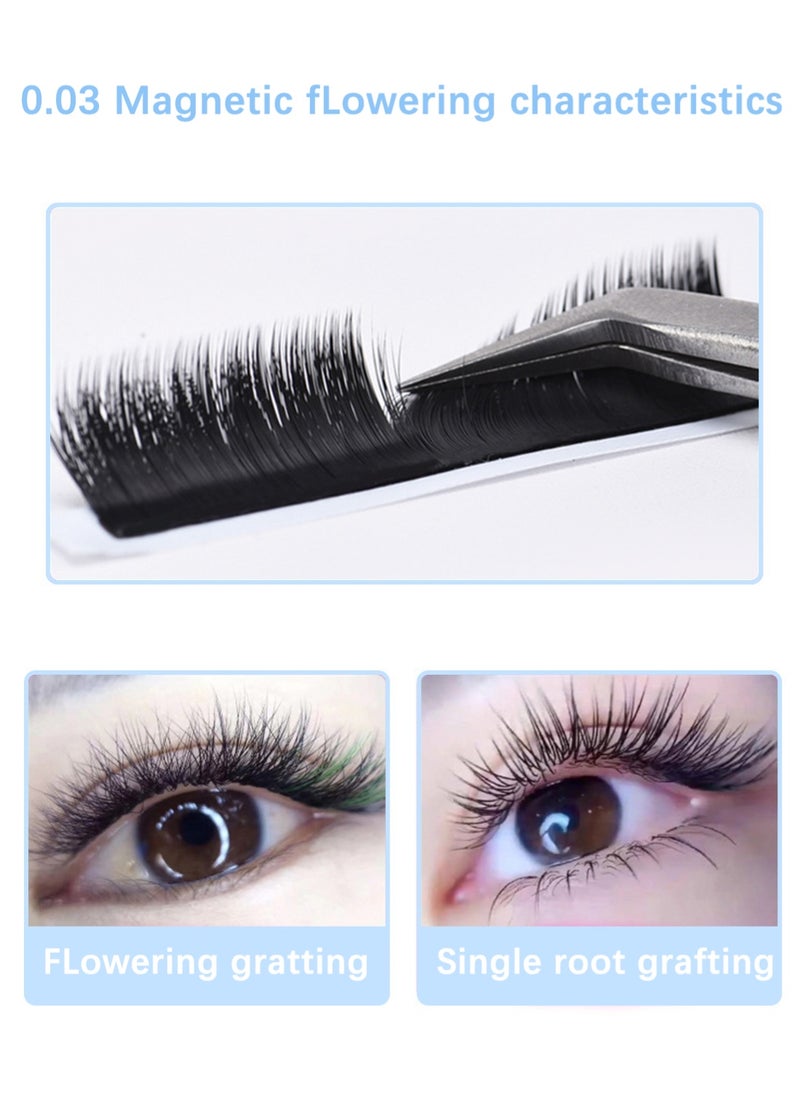 Auto Fans False Eyelashes for Extension Grafting, D Curl Matte Black Easy to Use Long Lasting Lashes for Home DIY Salon( 0.03 thick, 10mm)