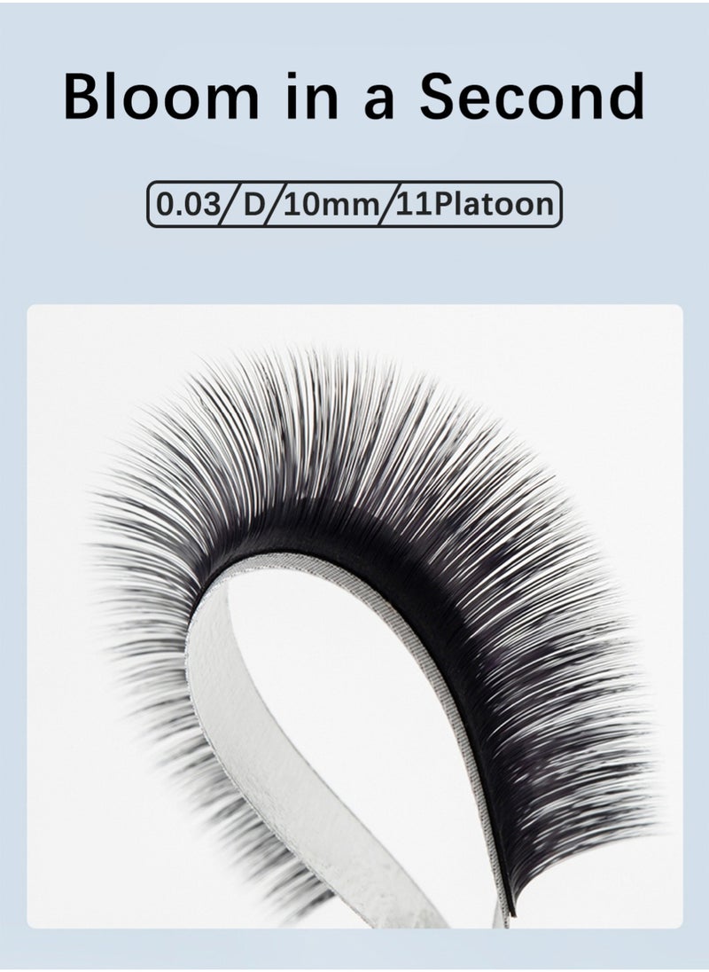 Auto Fans False Eyelashes for Extension Grafting, D Curl Matte Black Easy to Use Long Lasting Lashes for Home DIY Salon( 0.03 thick, 10mm)