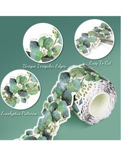 Y&D Eucalyptus Bulletin Board Sticker, Greenery Trim Border Decor, Themed Suitable for Home School Boards Desks (49ft)  - Image 2