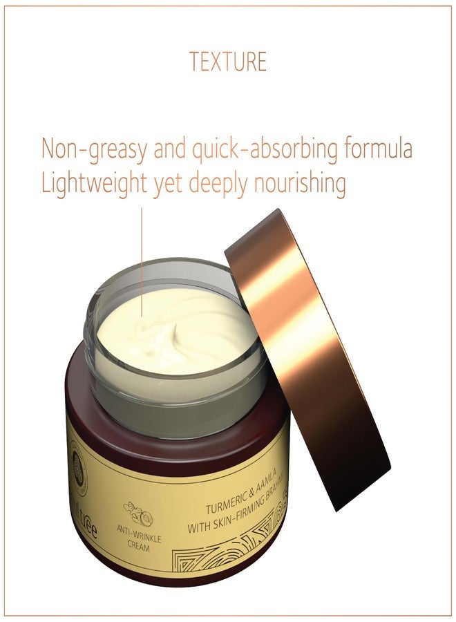 سول تري كريم سول تري المضاد للتجاعيد مع الكركم، والأملا، وبراهمي لشد البشرة، خالٍ من البارابين وكبريتات لوريل الصوديوم/كبريتات لوريث الصوديوم - 50 غرام - Image 4