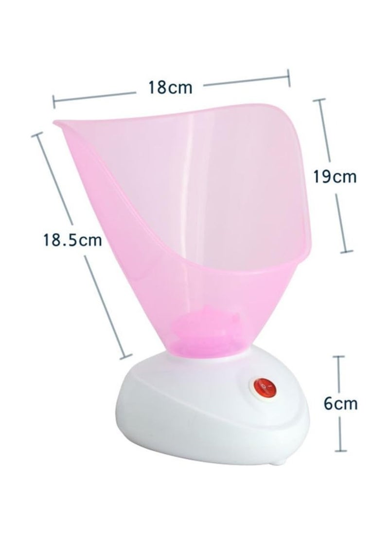 Generic - Facial Steamer Moisturizing Face Nano Sprayer for Home and Beauty Salon - Image 1