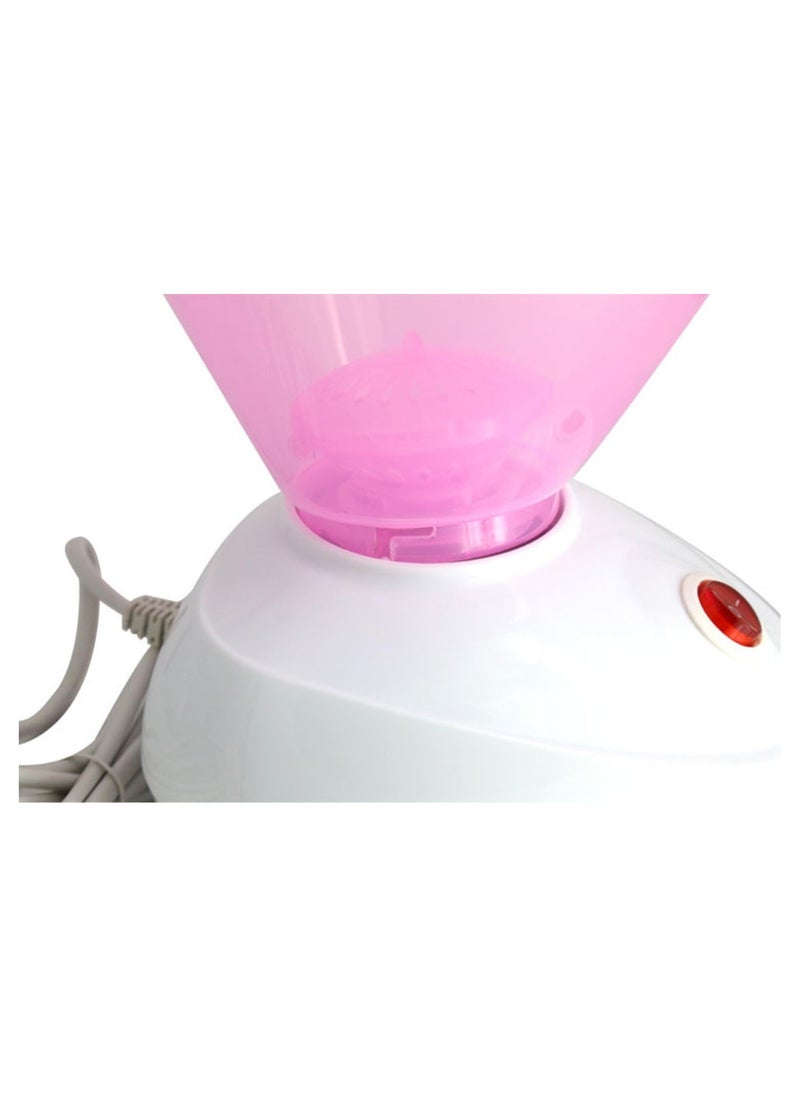 Generic - Facial Steamer Moisturizing Face Nano Sprayer for Home and Beauty Salon - Image 1