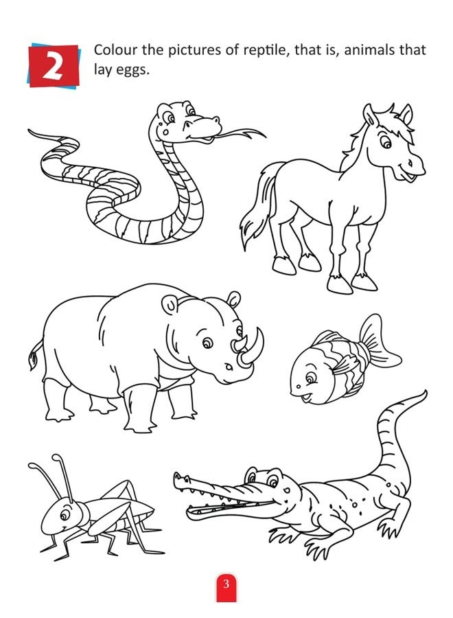We Happy 2 Pieces Science Math Creative Learning and Educational Early Development Toy - Image 5