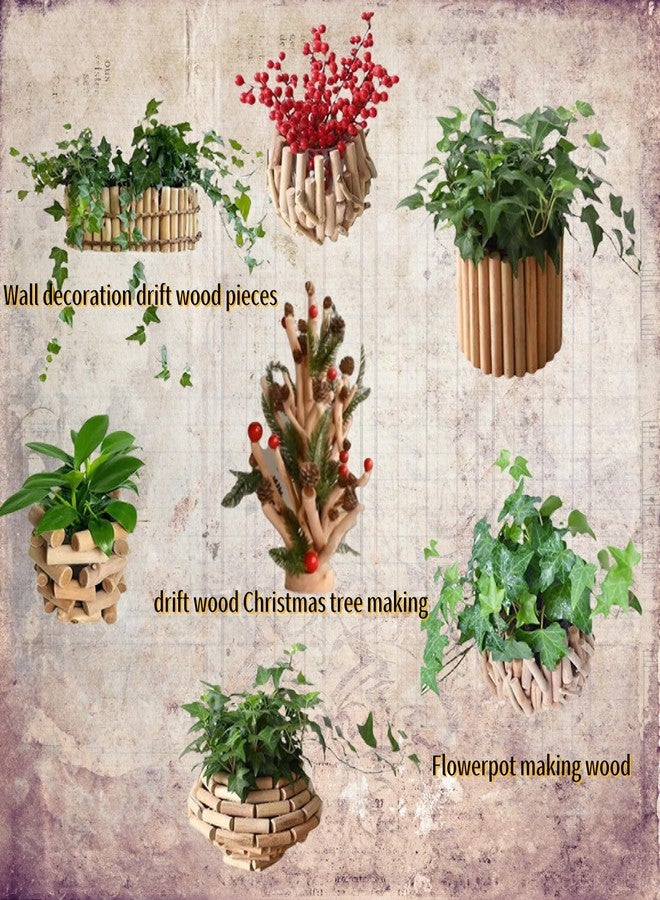 Prettyia Driftwood for Crafts, 7.78 Inch Long 0.7-1Inch in Diameter Driftwood Sticks for DIY Wall Decoration, Wood Crafts Decor Irregular Wooden Stick Weighing 250 Grams - Image 2