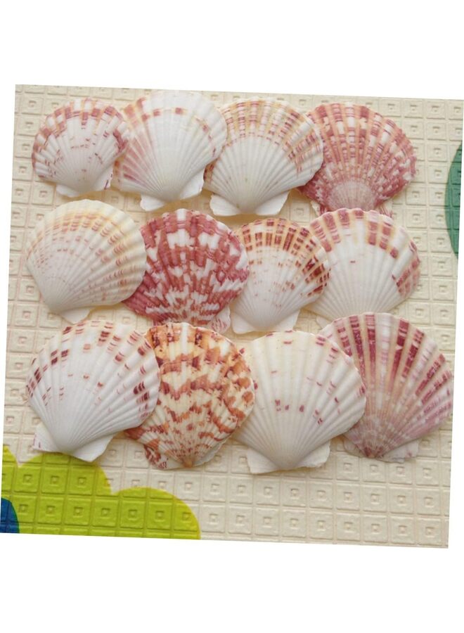 يُسلِّم 50 قطعة من صدفات البحر الطبيعية من Sea Beach لتزيين الحرف اليدوية لحفلات الزفاف ذات الطابع الشاطئي وديكورات المنزل وحوض السمك - Image 2
