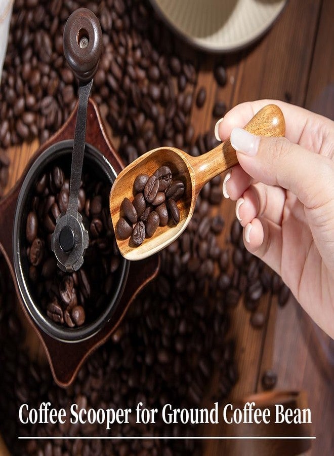 LEBAMI Wooden Coffee Scoop for Ground Coffee,4pcs Coffee Measuring Scooper for Beans Powder Tea Shovel,Small Wood Spoons Multipurpose for Jars Canisters,Kitchen Spice Pepper Condiment Powder Shovel - Image 4