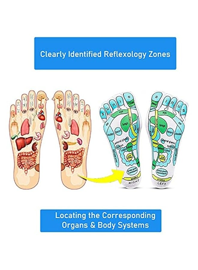 Generic Acupressure Socks with Reflexology for Women and Men, Foot Massage with Five Toe Separation, Cotton Material with Acupressure Charts and Rod for Stress Relief, Aches, and Overall Health and Wellness.  - Image 3