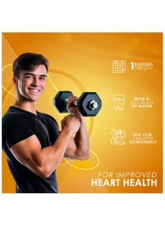 ambrosial Omega 3 Fish Oil High Quality Fish Oil Supplement- 60 Softgels  - Image 3