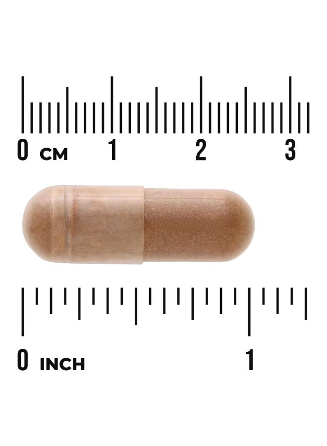 SWANSON Reishi Mushroom, 600 mg, 60 Vegan Capsules - Image 3