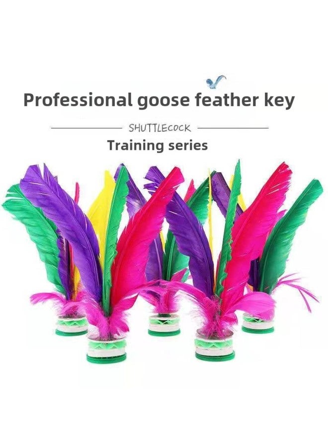 Shuttlecock Adult Primary School Students Shuttlecock Kick-resistant Kindergarten Female Feather Tendon Sports Competition Special Chicken Goose Feather Key-Specifications: 5 Pieces - Image 1