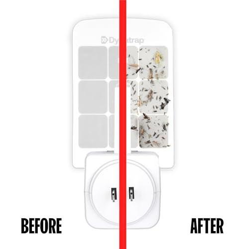 Dynatrap DT3007W Indoor Plug-in Flying Insect Trap for Flies, Fruit Flies, Moths, Gnats, and Other Flying Insects - 1 White Device + 2 Glue Cards - Image 3