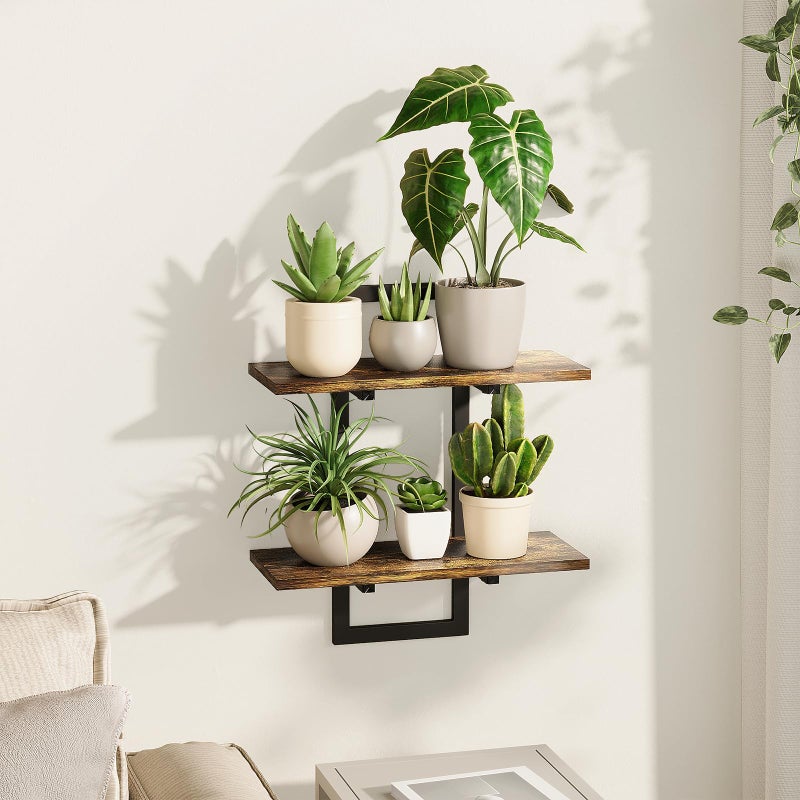 Bamworld Wall Planters for Indoor Plants Window Plant Shelves Vertical Plant Holder Wall Decor Plant Stand Indoor Floating Shelves for Plant Hangers for Living Room Bedroom Bathroom - Image 1