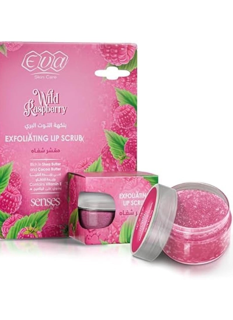Eva Eva Skin Care Wild Raspberry Exfoliating Lip Scrub 20g 
