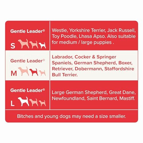 Beaphar | Gentle Leader | Head Collar for Medium Dogs | Stops Pulling On The Lead | Training Aid with Immediate Effect | Endorsed by Behaviourists | Red x 1 - Image 3