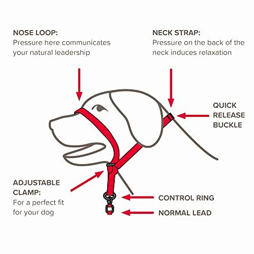 Beaphar | Gentle Leader | Head Collar for Medium Dogs | Stops Pulling On The Lead | Training Aid with Immediate Effect | Endorsed by Behaviourists | Red x 1 - Image 4
