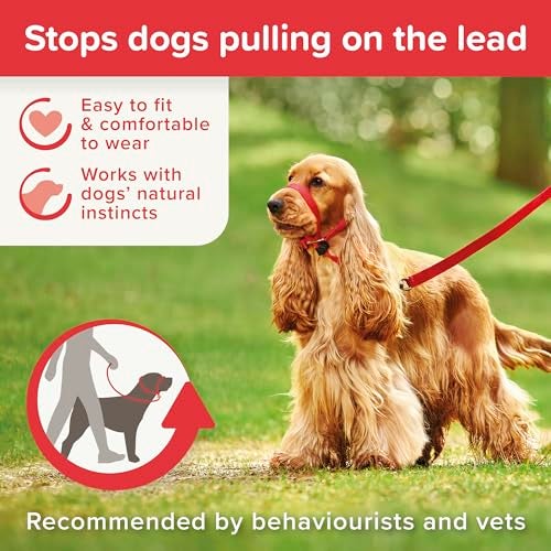 Beaphar | Gentle Leader | Head Collar for Medium Dogs | Stops Pulling On The Lead | Training Aid with Immediate Effect | Endorsed by Behaviourists | Red x 1 - Image 2