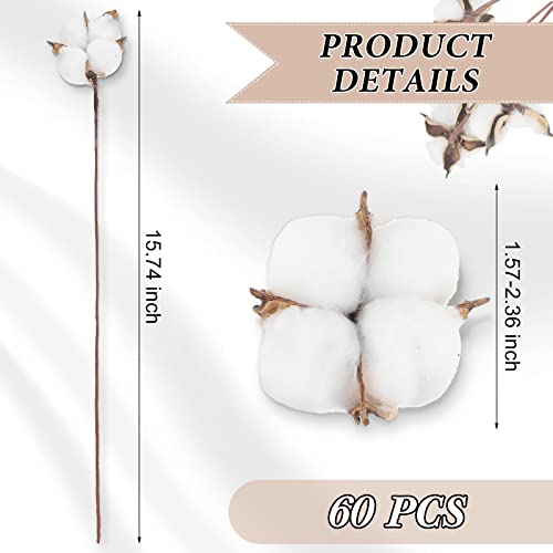 Kenning 60 Pcs 60 Balls Artificial Cotton Flowers Antique Cotton Stems Farmhouse Decorations Fake Fall Vase Filler White Dried Plant Decor for Home Wedding Party Kitchen DIY Floral Arrangement - Image 2