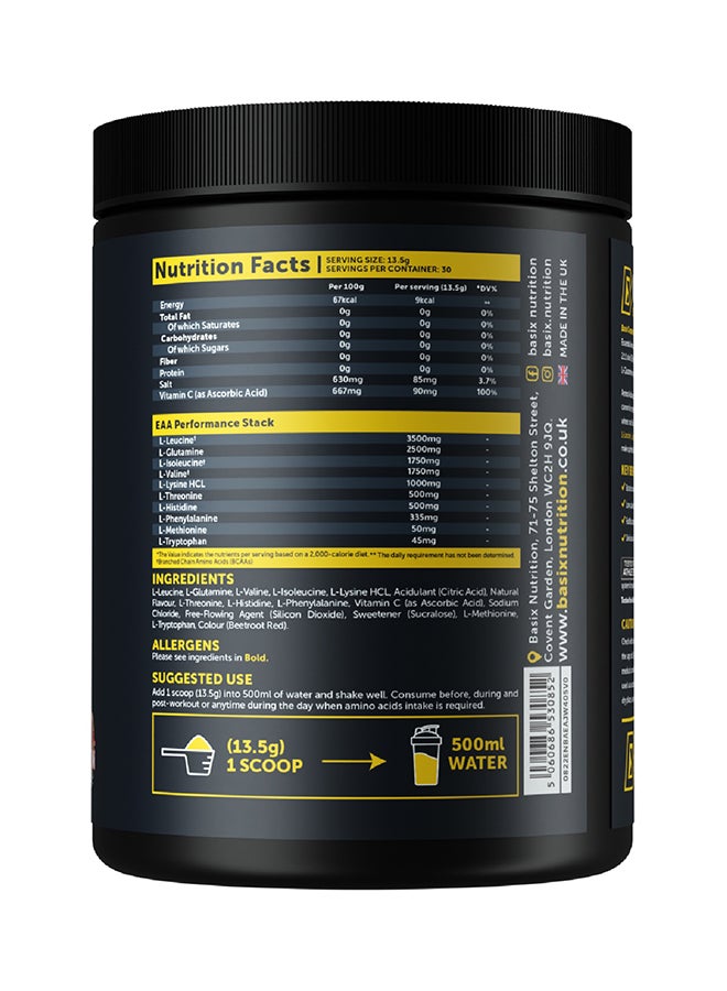 Basix Complete 10 Juicy Watermelon 405G - Image 3