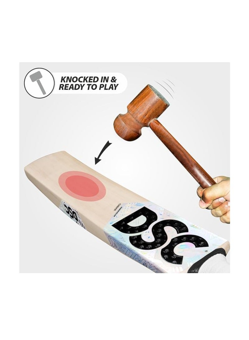 DSC Condor Aviator Cricket Bat | High-Performance Bat | Durable Cricket Bat | Profe ional Bat - Image 3
