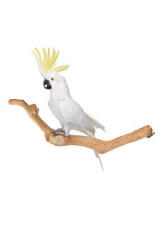 CHEWY BEAK Parrot Perch for Large Parrots made of solid java wood suitable for all bird cage  - Image 1