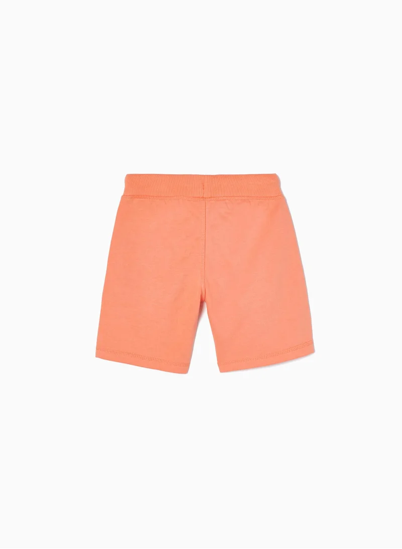 Zippy Zippy Sports Shorts For Boys