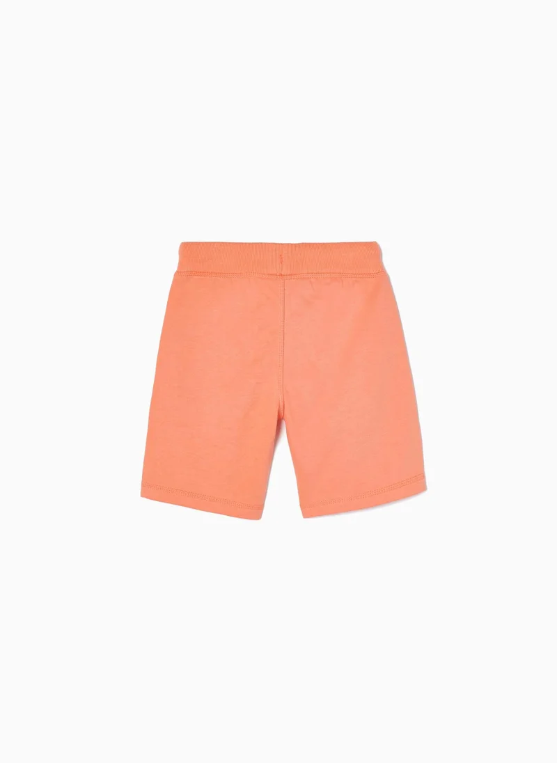 Zippy Zippy Sports Shorts For Boys