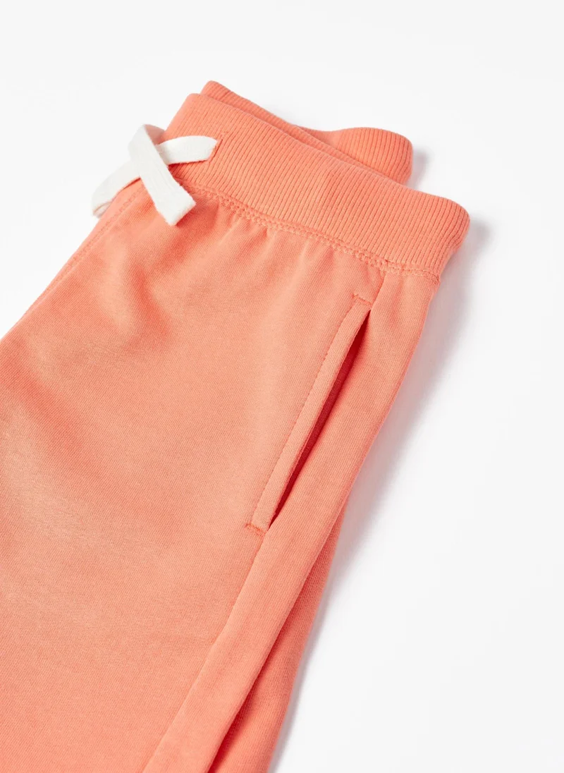 Zippy Zippy Sports Shorts For Boys