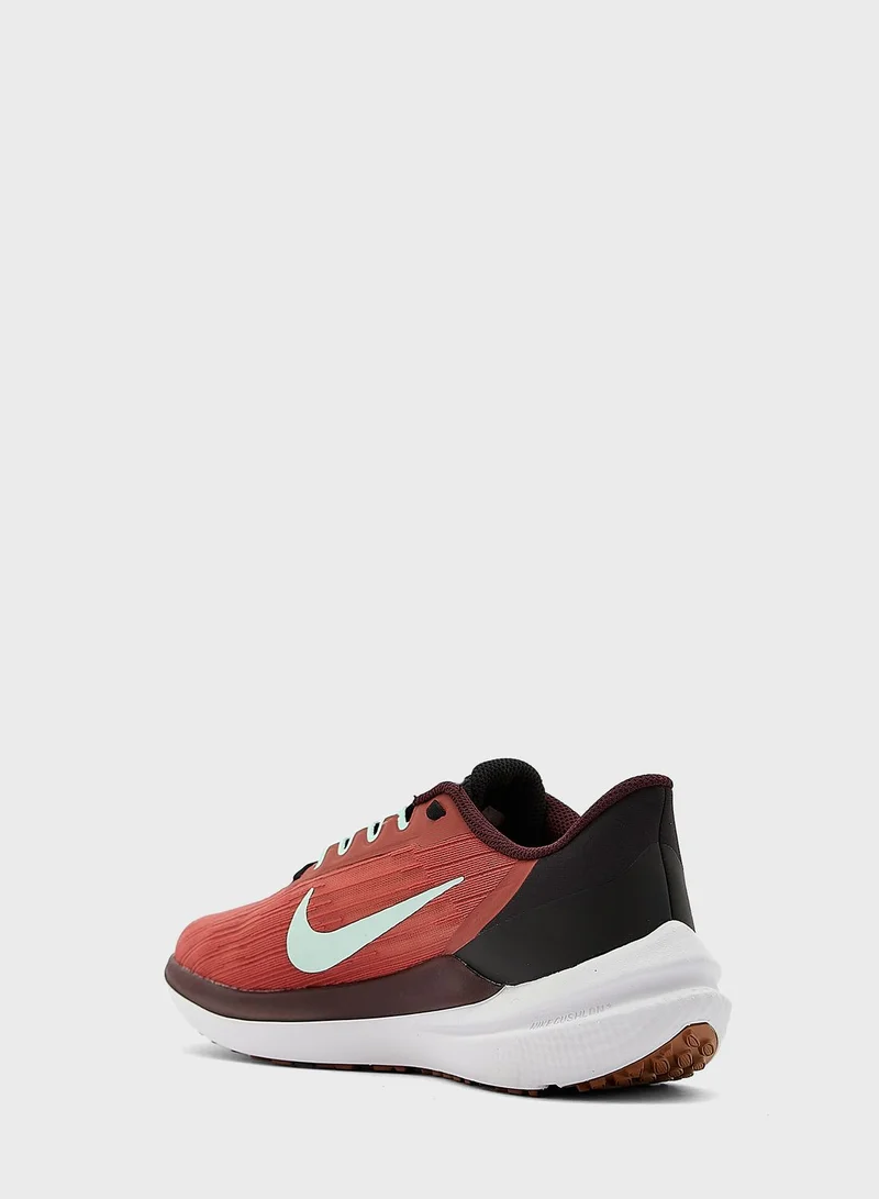 Nike Air Winflo 9