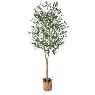 Artificial Tropical PlantsOlive Tree with Lifelike Olive Branches and FruitsPerfect Lifelike Artificial Tree for Modern Home Decor indoor and out doorOfficePerfect Housewarming Gift CU 150 - pzsku/ZA382E1161E836F86BB1CZ/45/1748264711/1ddc322a-2042-4653-a775-2146b5628ac7