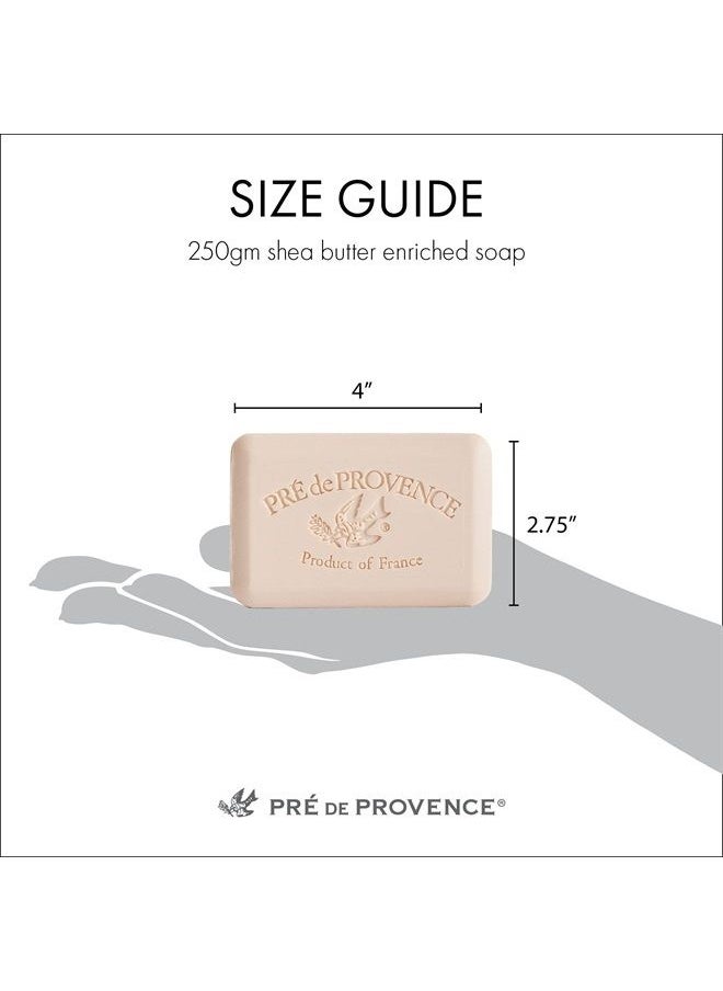 Pre De Provence - Artisanal Soap Bar, Enriched with Organic Shea Butter, Natural French Skincare, Quad Milled for Rich Smooth Lather, Amande, 8.8 Ounce - Image 1