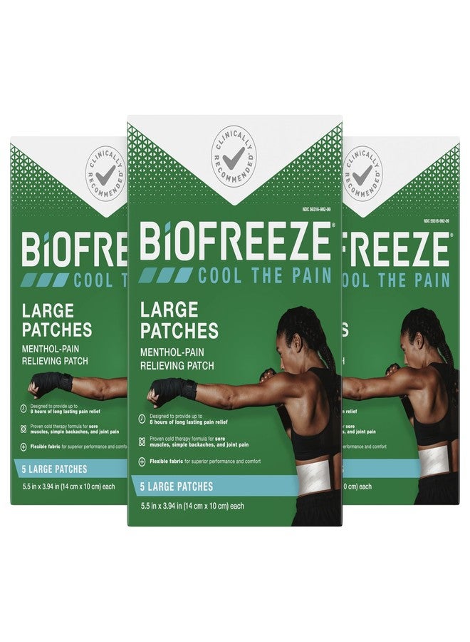 Biofreeze Menthol Pain Relieving Patches (5 Patches Per Box, Pack Of 3) Up To 8 Hours Of Pain Relief From Sore Muscles, Arthritis, Backaches, Spains, Bruises, Strains And Joint Pain (Package May Vary) - Image 1