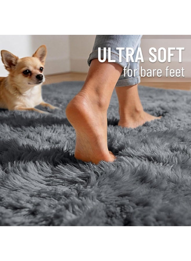 Fluffy Area Rug Machine Washable Soft Shaggy Carpet Non Slip Bedroom Rug for Living Room Kids Room Nursery Dorm Indoor Home Floor Decor - Image 4