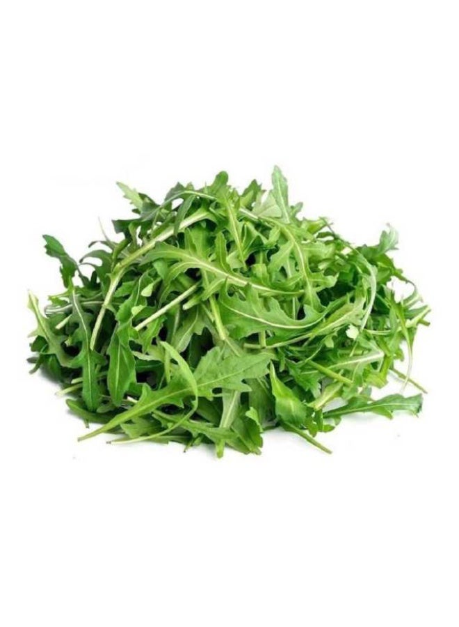 Baby Rocca 100g