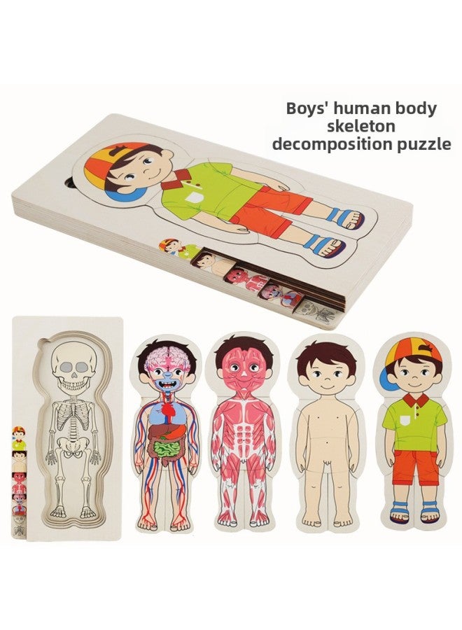 Multi-layered Body Structure Jigsaw Jigsaw Jigsaw Jigsaw Boys And Girls Children Educational Wooden Educational Toys-Color:Little Boy With Hat 0.5kg-Muyuan - Image 1