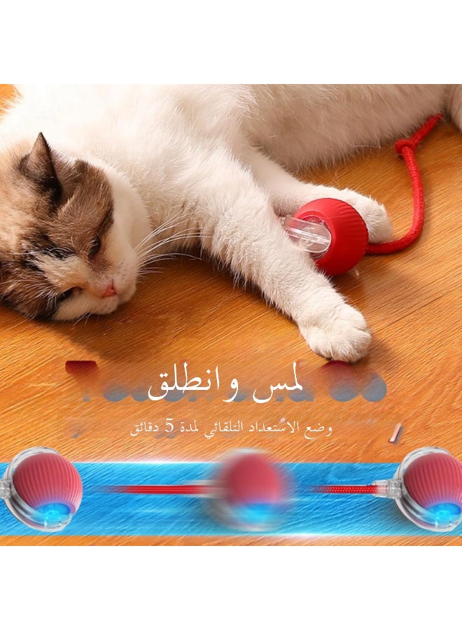كرة لعبة للحيوانات الأليفة تدور تفاعلية، كرة لعبة ذكية تدور تلقائيًا بزاوية 360 درجة، كرة لعبة ذكية تفاعلية للقطط والكلاب، كرة لعبة حيوانية ذكية قابلة للشحن عبر USB، كرة لعبة كهربائية تتحرك تلقائيًا للاستخدام في الداخل للقطط والكلاب - Image 4