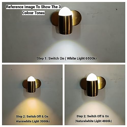 FILLISKA® 3 in 1 Single Wall spot/Picture/Display/Mirror Light with Adjustable Head and Colour Changing Function (BlackGold-685) - Image 2