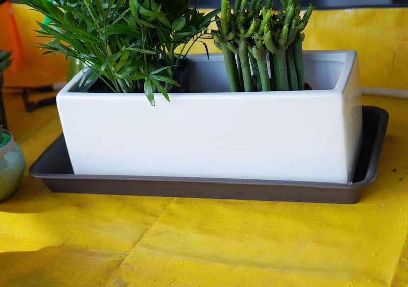 VUWEZ 6 Pack Plastic Plant Saucer, Rectangular, Indoors Outdoor, Drip Tray for Flower Pot, Windowsill (6.5 X 13 Inch, Brown) - Image 4