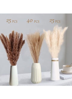 Generic 90 Pcs Dried Pampas Grass Dried Flowers Of Small Reeds Boho Natural Flowers Arrangements White Reed Bunny Tails for Home Decor Flower Living Room Balcony Wedding Party 